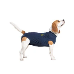 Medical Pet Shirt Hond -Hondenbenodigdheden Winkel medical pet shirt hond 167419 1000 none