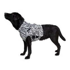 Medical Pet Top Shirt - Zebraprint 19 Medical Pet Top Shirt - Zebraprint -Hondenbenodigdheden Winkel medical pet top shirt zebraprint 150698 1000 none