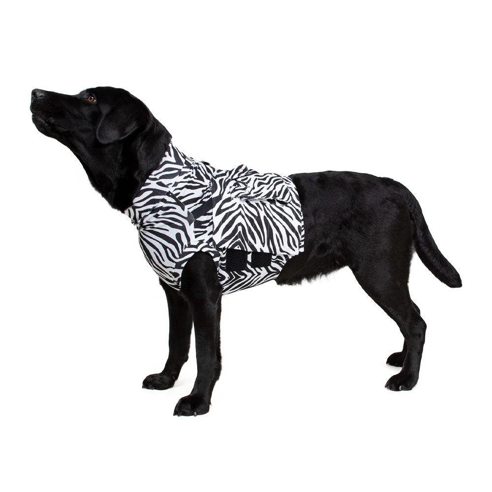 Medical Pet Top Shirt - Zebraprint 9 Medical Pet Top Shirt - Zebraprint - Afbeelding 7