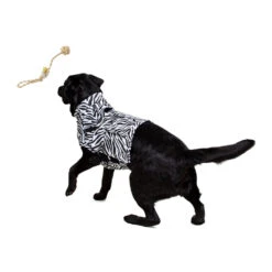 Medical Pet Top Shirt - Zebraprint 20 Medical Pet Top Shirt - Zebraprint -Hondenbenodigdheden Winkel medical pet top shirt zebraprint 150701 1000 none