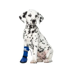 Medical Pet Shirt Boot -Hondenbenodigdheden Winkel medical pets boot 167470 1000 none