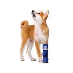 Medical Pet Shirt Boot -Hondenbenodigdheden Winkel medical pets boot 167479 1000 none