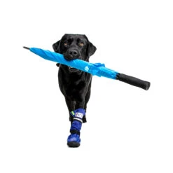 Medical Pet Shirt Boot -Hondenbenodigdheden Winkel medical pets boot 167482 1000 none