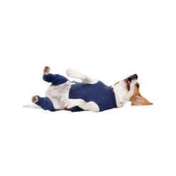 MPS-HLS Achterpootmouwtjes -Hondenbenodigdheden Winkel mps hls achterpootmouwtjes 167440 1000 none