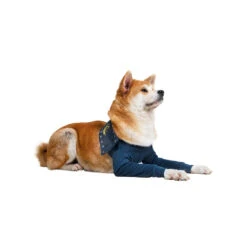 MPS-TAZ2 Voorpootmouwtjes -Hondenbenodigdheden Winkel mps taz2 voorpootmouwtjes 167446 1000 none