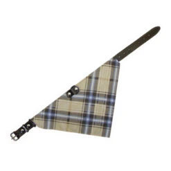 Nobby Leren Halsband -Hondenbenodigdheden Winkel nobby leren halsband 129956 0500 none