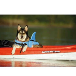 Nobby Sharki Hondenzwemvest -Hondenbenodigdheden Winkel nobby sharki hondenzwemvest 221666 1000 none