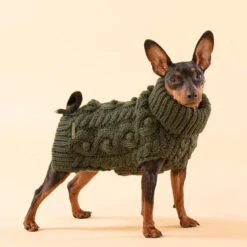 PAIKKA Handmade Knit Sweater -Hondenbenodigdheden Winkel paikka handmade knit sweater green 217735 0500 none