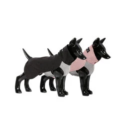 PAIKKA Recovery Winter Shirt -Hondenbenodigdheden Winkel paikka recovery winter shirt 217785 2000 none