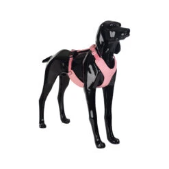 PAIKKA Visibility Harness -Hondenbenodigdheden Winkel paikka visibility harness pink xl 134564 2000 none