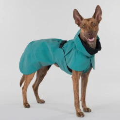 PAIKKA Visibility Raincoat Emerald -Hondenbenodigdheden Winkel paikka visibility raincoat emerald 222162 2000 none