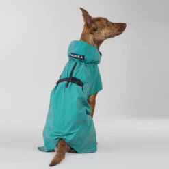 PAIKKA Visibility Raincoat Emerald -Hondenbenodigdheden Winkel paikka visibility raincoat emerald 222164 2000 none