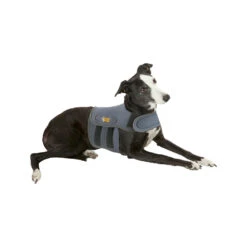 Petlife KarmaWrap Hond -Hondenbenodigdheden Winkel petlife karmawrap hond 154186 1000 none
