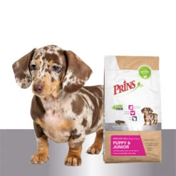 Prins ProCare Mini Puppy & Junior Perfect Start -Hondenbenodigdheden Winkel prins procare mini puppy junior perfect start 171748 1500 none