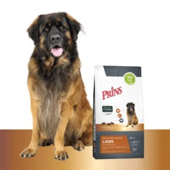 Prins Protection Croque Lamb Hypoallergenic -Hondenbenodigdheden Winkel prins protection croque lamb hypoallergenic 172030 1500 none
