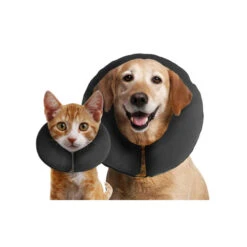 ZenPet Pro Collar -Hondenbenodigdheden Winkel prod 5331 88992 0500 none