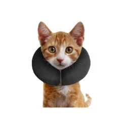 ZenPet Pro Collar -Hondenbenodigdheden Winkel prod 5331 89004 0500 none