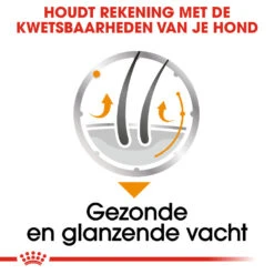 Royal Canin Coat Care Wet - Hondenvoer -Hondenbenodigdheden Winkel prod 8914 131822 1000 none