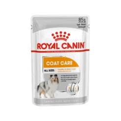 Royal Canin Coat Care Wet - Hondenvoer -Hondenbenodigdheden Winkel prod 8914 131858 2000 none