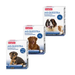 Beaphar Milquestra Hond -Hondenbenodigdheden Winkel product beaphar milquestra hond none 4 1463566026 68931