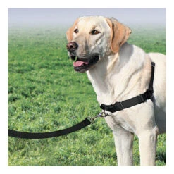 PetSafe Easywalk Tuigje -Hondenbenodigdheden Winkel product easywalk tuigje none 4 1477994349 79564