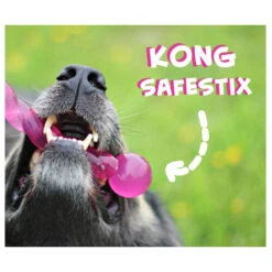 KONG Safestix -Hondenbenodigdheden Winkel product kong safestix none 4 1458633926 66969