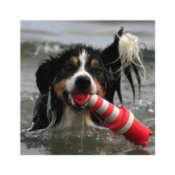 Rogz Lighthouse -Hondenbenodigdheden Winkel product rogz lighthouse none 4 1485526267 82936