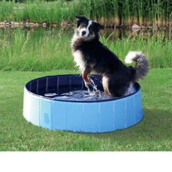 Trixie Dog Pool -Hondenbenodigdheden Winkel product trixie dog pool none 4 1495792779 86689