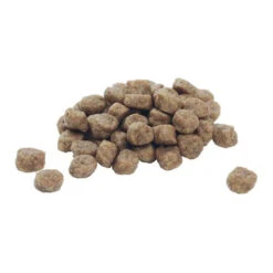 Purina Pro Plan Dog Adult - Large Breed -Hondenbenodigdheden Winkel purina pro plan dog adult large breed 113498 0500 none