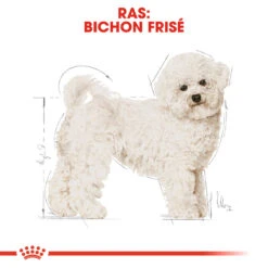 Royal Canin Bichon Frisé Adult - Hondenvoer -Hondenbenodigdheden Winkel royal canin bichon fris adult hondenvoer 137359 1000 none