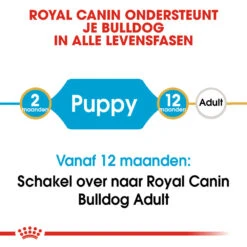 Royal Canin Bulldog Puppy - Hondenvoer 19 Royal Canin Bulldog Puppy - Hondenvoer -Hondenbenodigdheden Winkel royal canin bulldog puppy hondenvoer 137791 1000 none