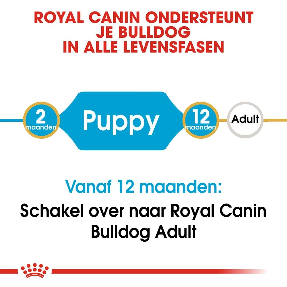 Royal Canin Bulldog Puppy - Hondenvoer 9 Royal Canin Bulldog Puppy - Hondenvoer - Afbeelding 7