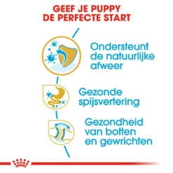 Royal Canin Bulldog Puppy - Hondenvoer 16 Royal Canin Bulldog Puppy - Hondenvoer -Hondenbenodigdheden Winkel royal canin bulldog puppy hondenvoer 137809 1000 none
