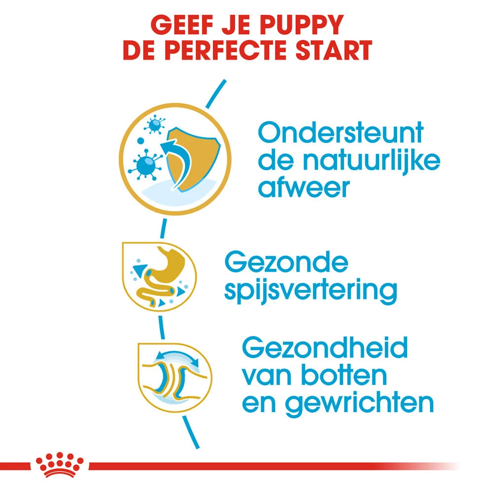 Royal Canin Bulldog Puppy - Hondenvoer 6 Royal Canin Bulldog Puppy - Hondenvoer - Afbeelding 4