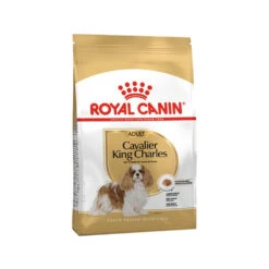 Royal Canin Cavalier King Charles Adult - Hondenvoer -Hondenbenodigdheden Winkel royal canin cavalier king charles adult hondenvoer 188073 1000 none
