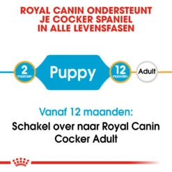 Royal Canin Cocker Puppy - Hondenvoer -Hondenbenodigdheden Winkel royal canin cocker puppy hondenvoer 138205 1000 none