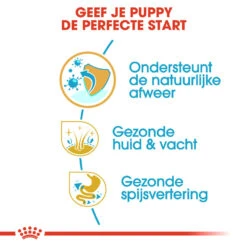 Royal Canin Cocker Puppy - Hondenvoer -Hondenbenodigdheden Winkel royal canin cocker puppy hondenvoer 138223 1000 none