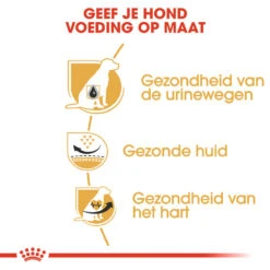 Royal Canin Dalmatian Adult - Hondenvoer -Hondenbenodigdheden Winkel royal canin dalmatian adult hondenvoer 138520 1000 none