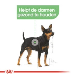Royal Canin Digestive Care Wet - Hondenvoer -Hondenbenodigdheden Winkel royal canin digestive care wet hondenvoer 131498 1000 none