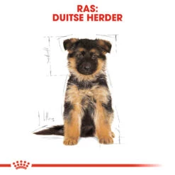 Royal Canin German Shepherd Puppy- Hondenvoer -Hondenbenodigdheden Winkel royal canin german shepherd puppy hondenvoer 138844 1000 none