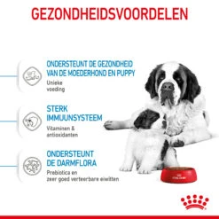 Royal Canin Giant Starter Mother & Babydog - Hondenvoer -Hondenbenodigdheden Winkel royal canin giant starter mother babydog hondenvoer 206705 2000 none