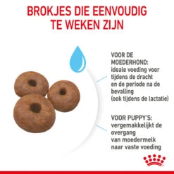 Royal Canin Giant Starter Mother & Babydog - Hondenvoer -Hondenbenodigdheden Winkel royal canin giant starter mother babydog hondenvoer 206708 2000 none