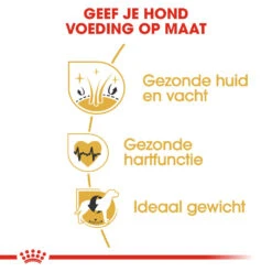 Royal Canin Golden Retriever Adult - Hondenvoer -Hondenbenodigdheden Winkel royal canin golden retriever adult hondenvoer 138895 1000 none