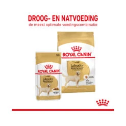 Royal Canin Labrador Retriever Adult Wet -Hondenbenodigdheden Winkel royal canin labrador retriever adult wet 165763 2000 none