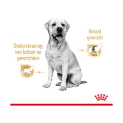 Royal Canin Labrador Retriever Adult Wet -Hondenbenodigdheden Winkel royal canin labrador retriever adult wet 165781 2000 none