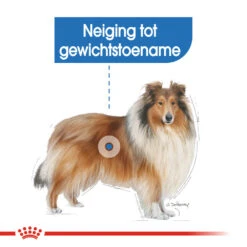 Royal Canin Maxi Light Weight Care - Hondenvoer -Hondenbenodigdheden Winkel royal canin maxi light weight care hondenvoer 132605 1000 none