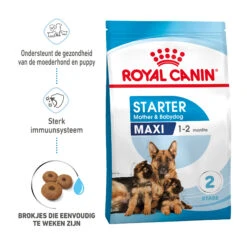 Royal Canin Maxi Starter Mother & Babydog - Hondenvoer -Hondenbenodigdheden Winkel royal canin maxi starter mother babydog hondenvoer 206834 2000 none