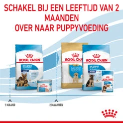 Royal Canin Maxi Starter Mother & Babydog - Hondenvoer -Hondenbenodigdheden Winkel royal canin maxi starter mother babydog hondenvoer 206849 2000 none