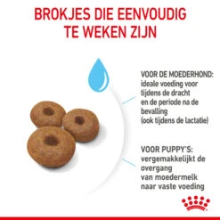 Royal Canin Maxi Starter Mother & Babydog - Hondenvoer -Hondenbenodigdheden Winkel royal canin maxi starter mother babydog hondenvoer 206852 2000 none