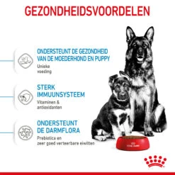 Royal Canin Maxi Starter Mother & Babydog - Hondenvoer -Hondenbenodigdheden Winkel royal canin maxi starter mother babydog hondenvoer 206855 2000 none